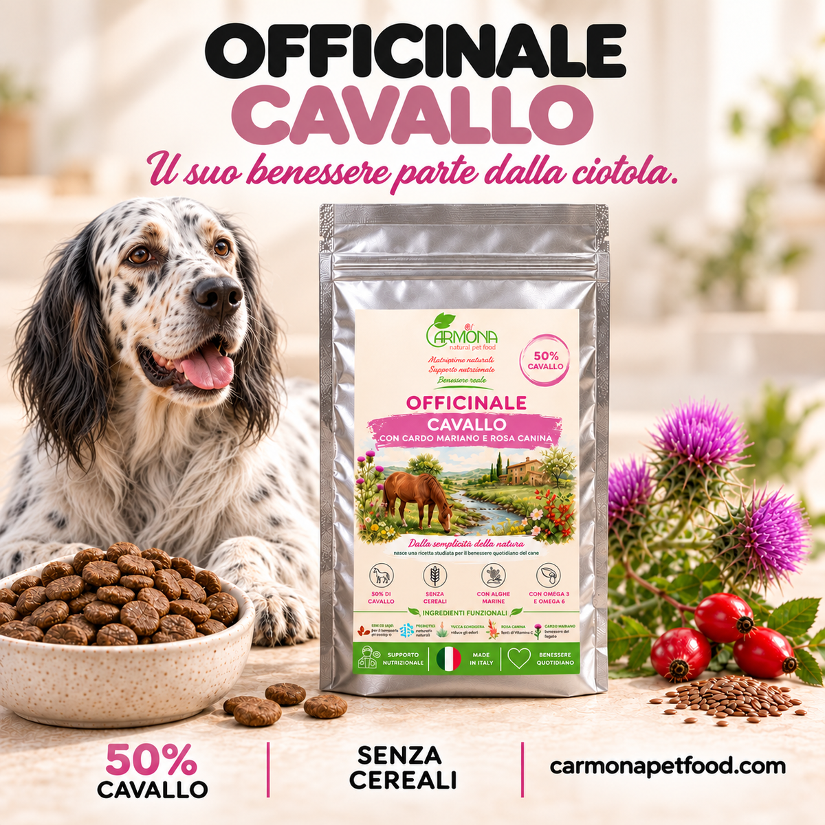 Officinale al Cavallo Carmona, alimento completo senza cereali per cani