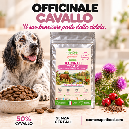 Officinale al Cavallo Carmona, alimento completo senza cereali per cani