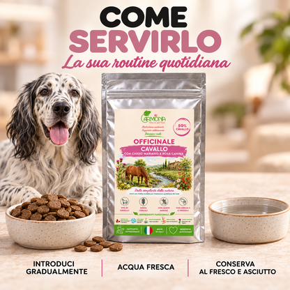 Come servire Officinale al Cavallo: introduzione graduale, acqua fresca e conservazione