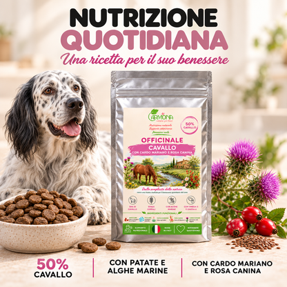 Officinale al Cavallo con cardo mariano e rosa canina, sacchetto e Setter inglese