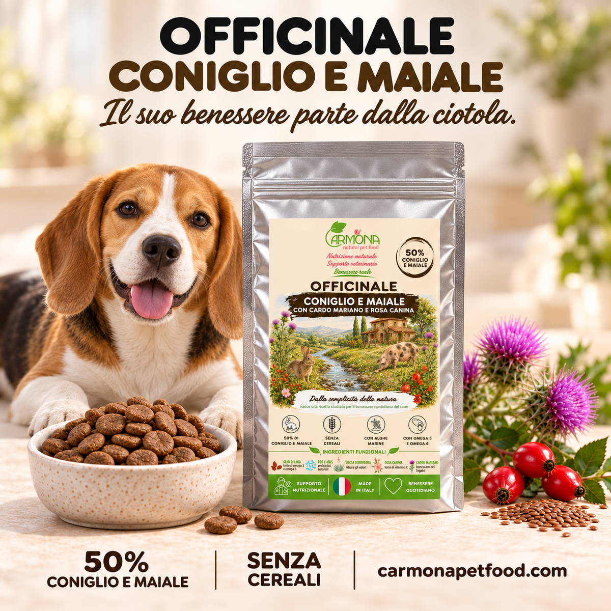 Officinale Coniglio e Maiale Carmona, alimento completo senza cereali per cani — sacchetto, ciotola e Beagle