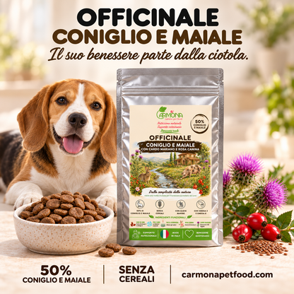 Officinale Coniglio e Maiale Carmona, alimento completo senza cereali per cani — sacchetto, ciotola e Beagle
