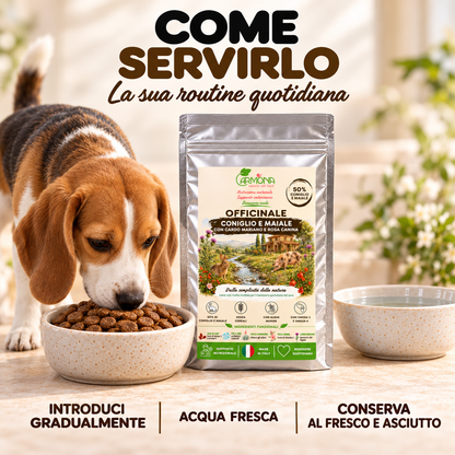 Officinale Coniglio e Maiale Carmona, alimento completo senza cereali per cani — introduzione graduale, acqua fresca e conservazione
