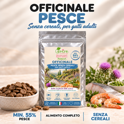 Officinale Pesce gatto - Copertina