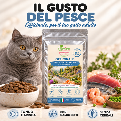 Officinale Pesce gatto - Ricetta
