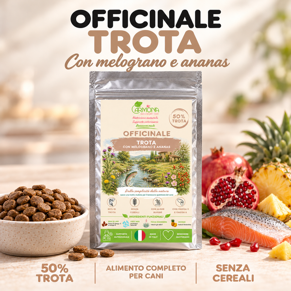 OFFICINALE alla Trota