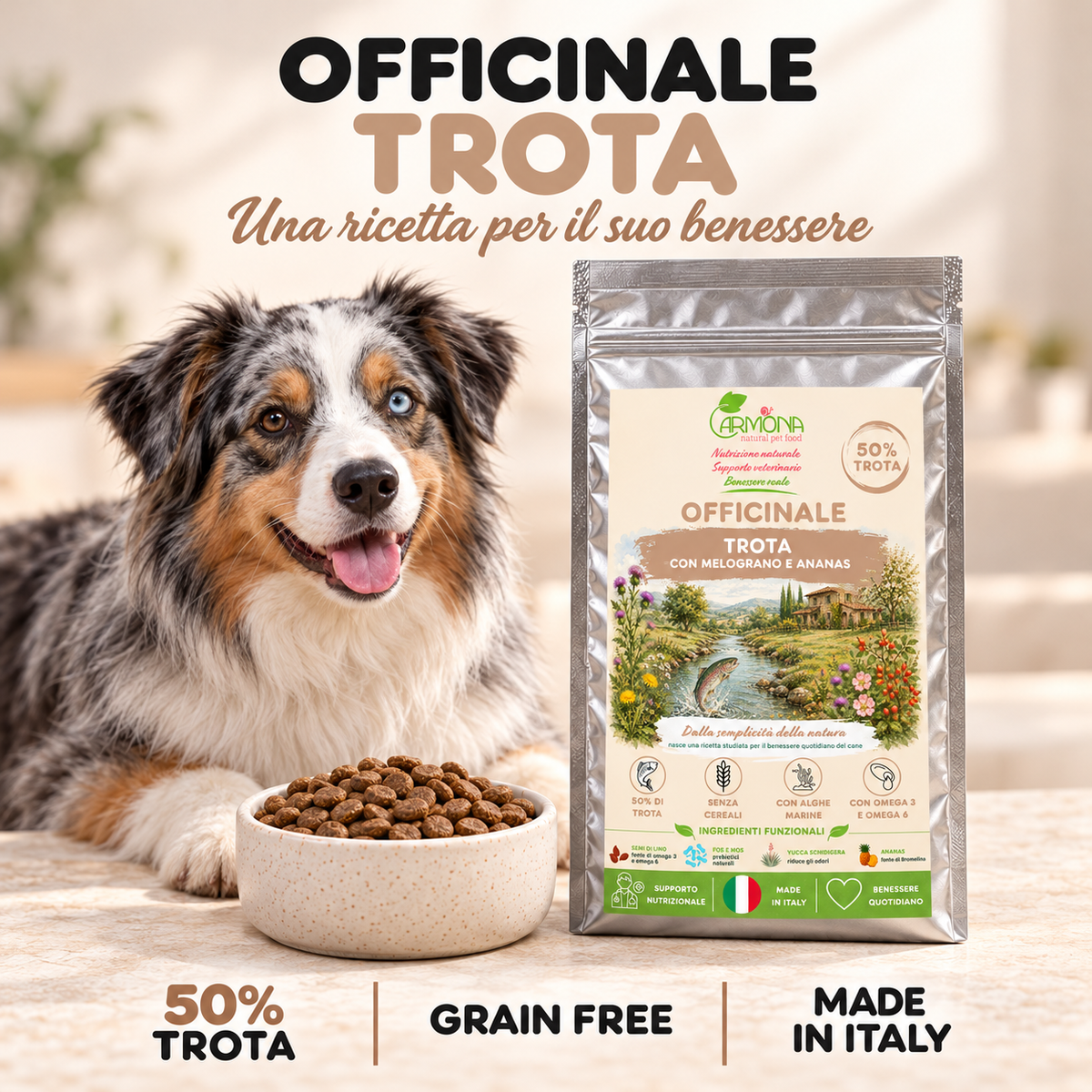 Carmona Officinale Trota – spiegazione