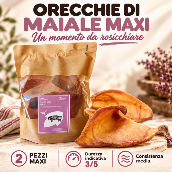 ORECCHIE DI MAIALE MAXI