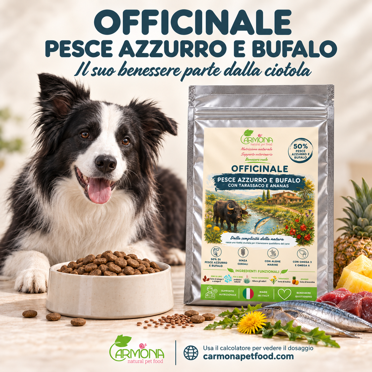 Officinale Pesce azzurro e Bufalo — chiusura