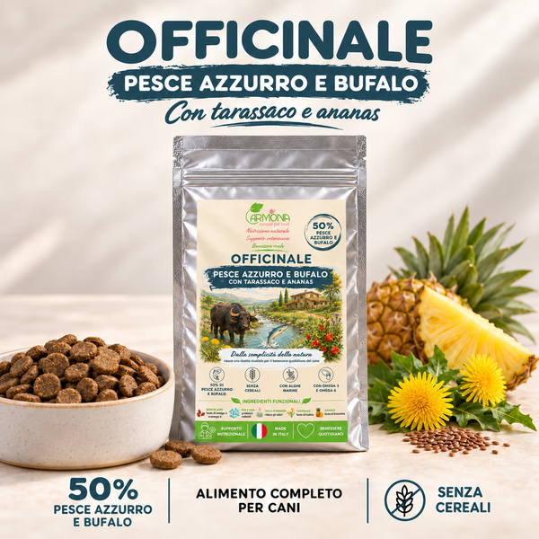 OFFICINALE con Pesce azzurro e Bufalo