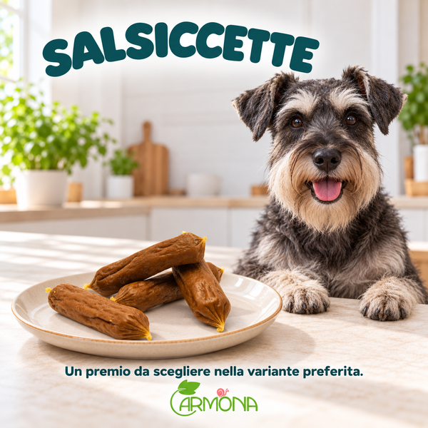 SALSICCETTE