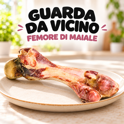 FEMORE DI MAIALE 3