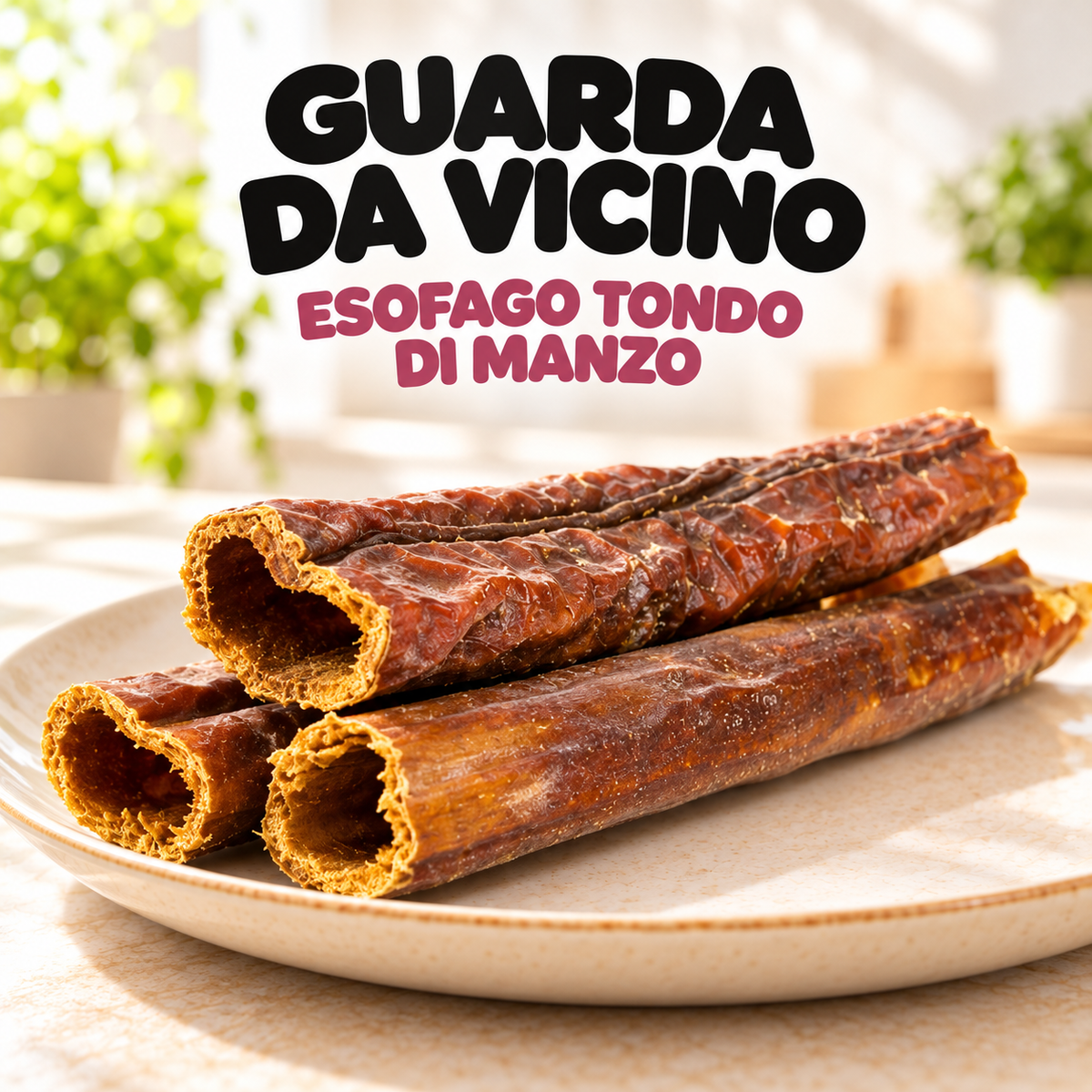 ESOFAGO TONDO DI MANZO - 100 g 3