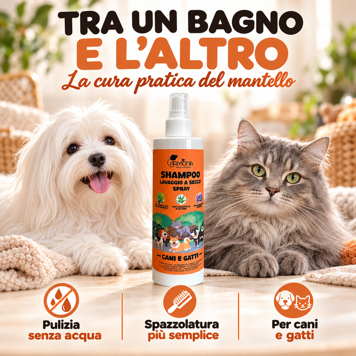 Shampoo spray Carmona tra un bagno e l'altro: pulizia senza acqua e spazzolatura