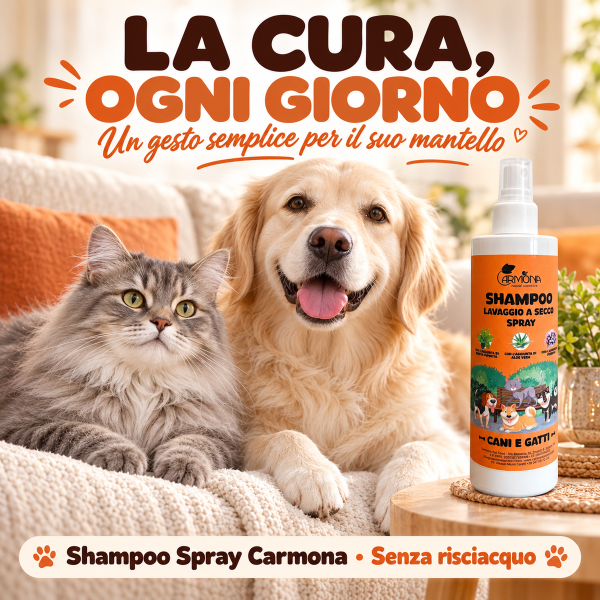 Cura quotidiana del mantello di cani e gatti con shampoo spray Carmona