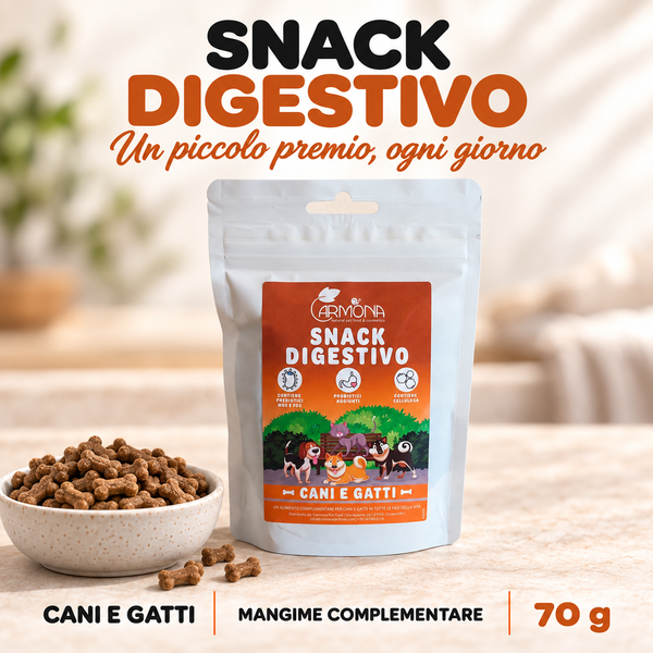 SNACK DIGESTIVO - 70 g
