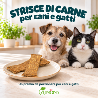 STRISCE DI CARNE per cani e gatti — Carmona, masticativo naturale