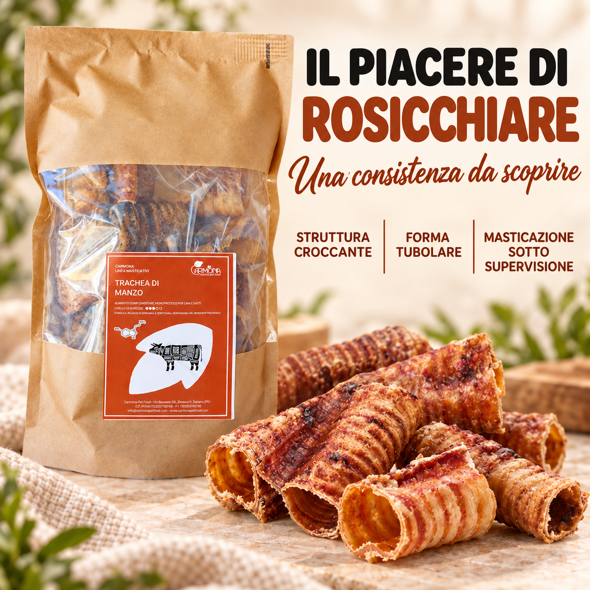 Carmona trachea – benefici