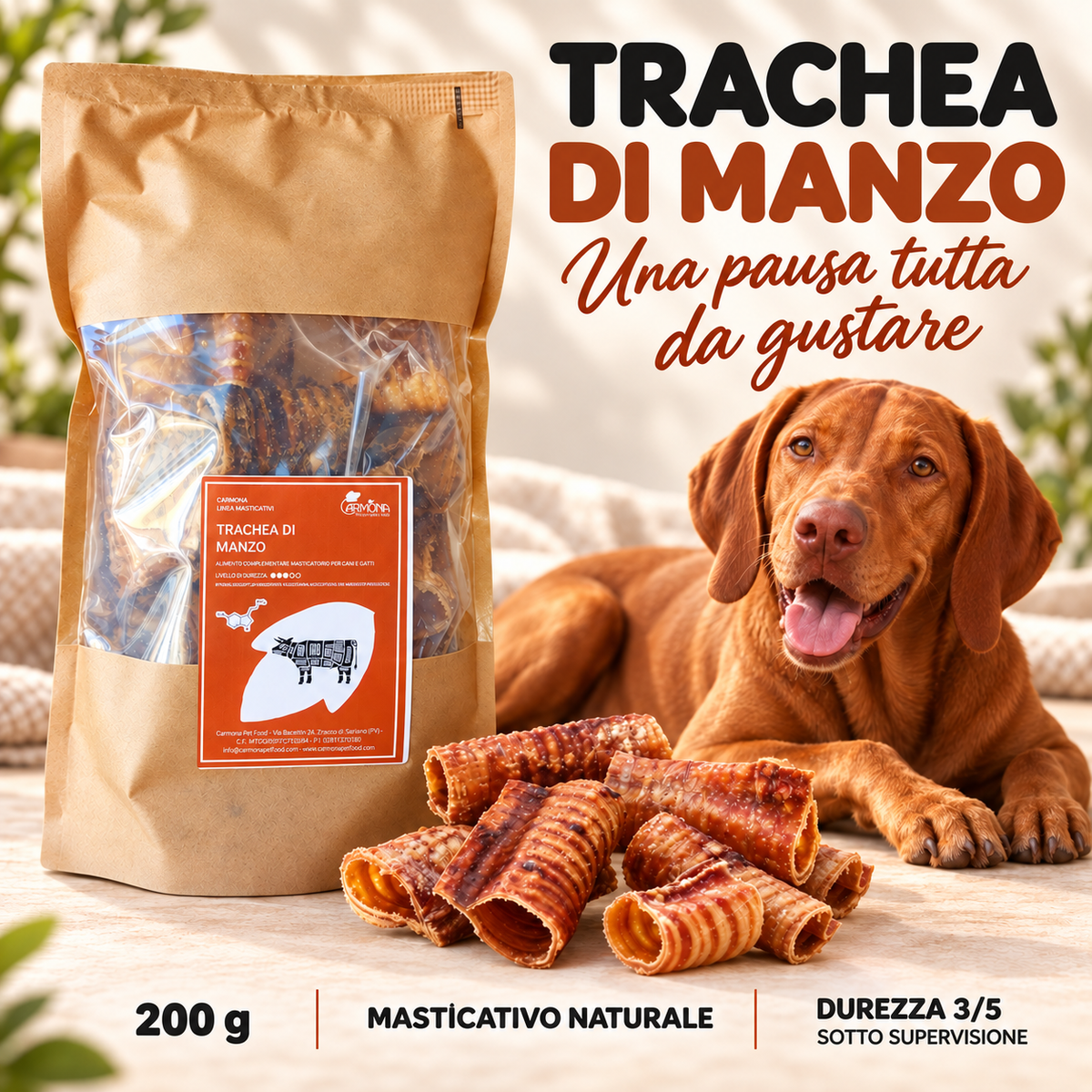 Carmona trachea – chiusura