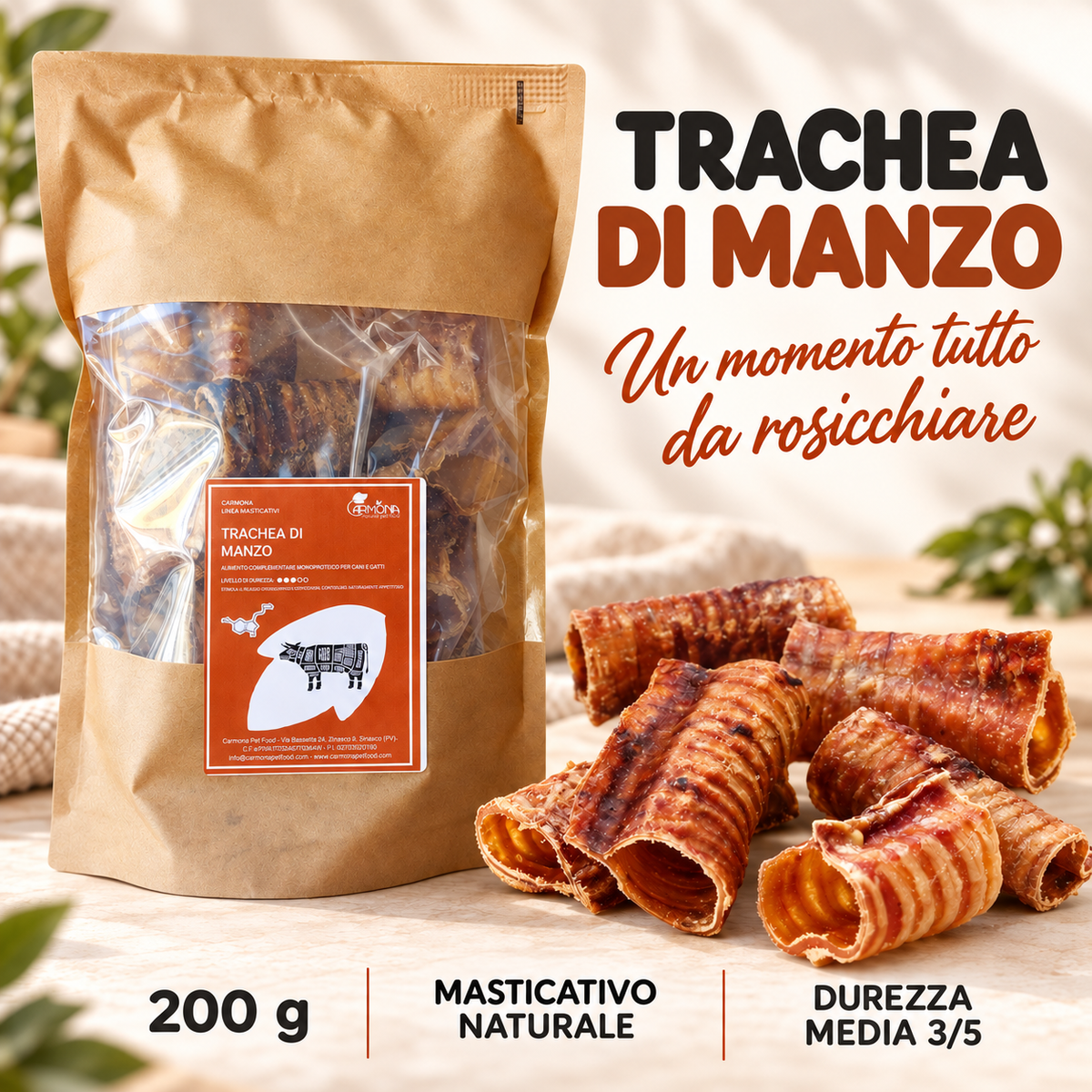 Carmona trachea – copertina