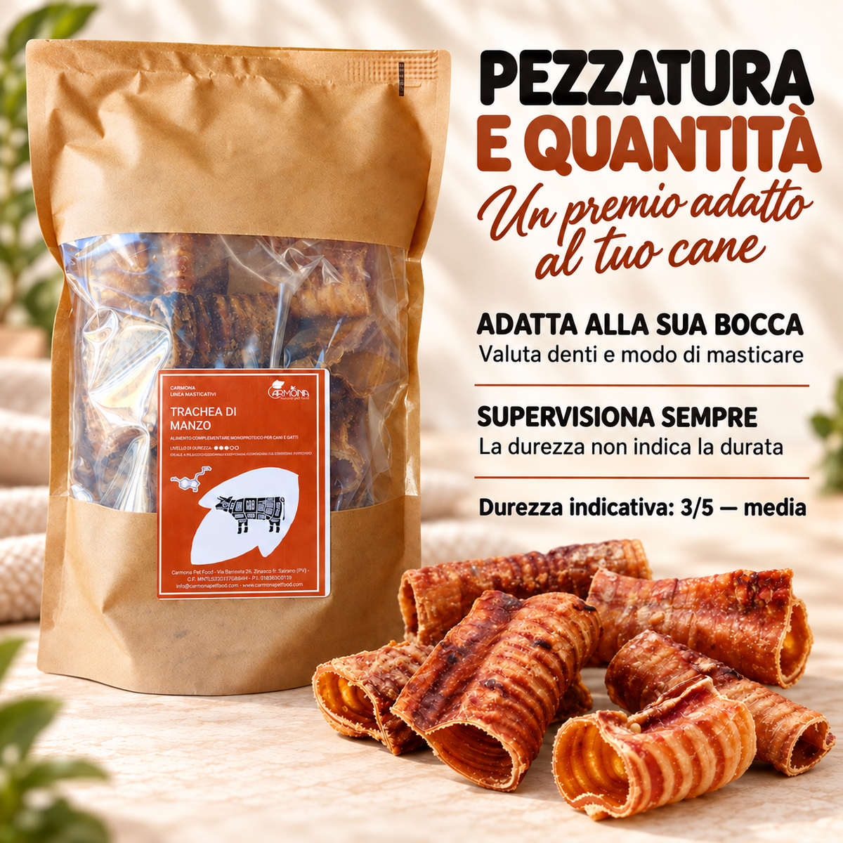 Carmona trachea – dosaggio