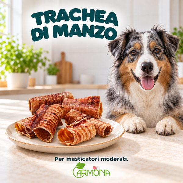 TRACHEA DI MANZO - 200 g