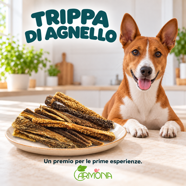 TRIPPA DI AGNELLO - 100 g