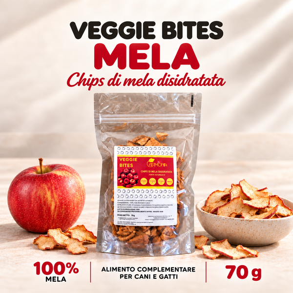 Chips di mela disidratata