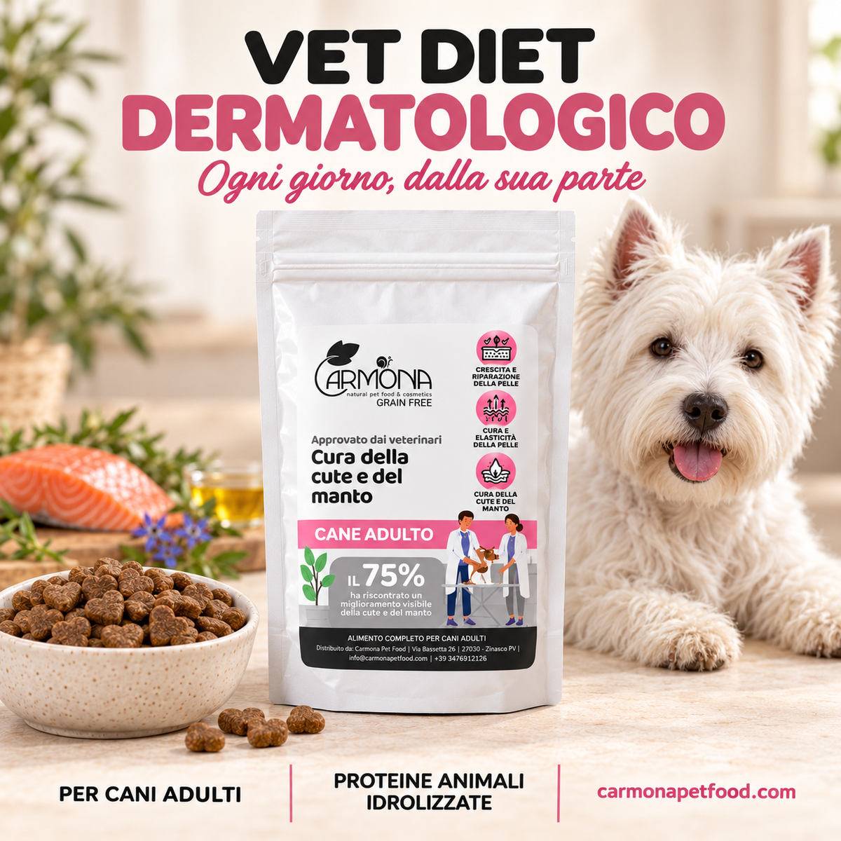 Carmona vet-derma – chiusura