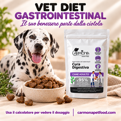 Carmona vet-gi – chiusura