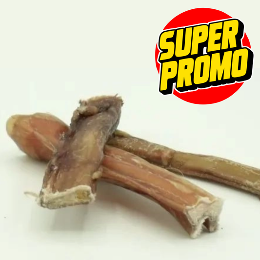 NERVO EQUINO - 5 pz X 12 cm