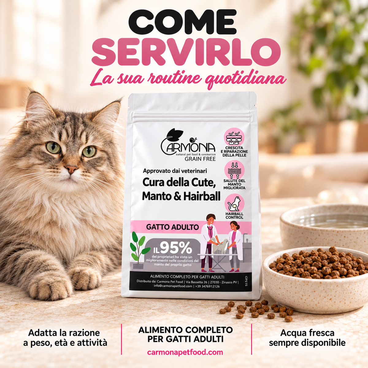 Vet Diet Cute Manto Hairball gatto – modo-uso